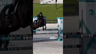 Cora was so good in the 105 classic we had one rail down horse horsey fypシ equestrian jumping [upl. by Otanutrof225]