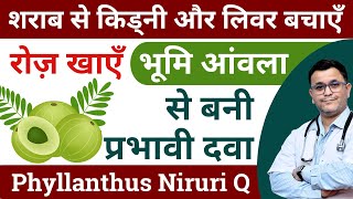 Bhumi Amla benefits Phyllanthus Niruri homeopathic medicine Benefits of bhumi amla Phyllanthus Q [upl. by Alphonse]