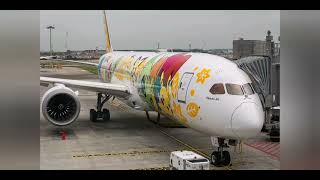 Pokemon Pikachu Boeing 787 [upl. by Aeet]