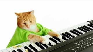 Keyboard Cats Wonderful Pistachios Commercial [upl. by Fredella]