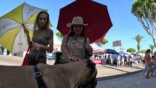 Cash 20 Great Dane at the Granada Hills street fair 2023 8 of 10 [upl. by Oigroig]