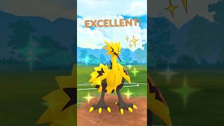 ✨ Shiny GALARIAN ZAPDOS in Pokemon GO [upl. by Dasie]