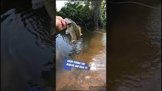 Creek fishing for bluegill and bass 💪🏽🎣🎣 viralvideo fishing fishingvideo shorts [upl. by Ydnelg]