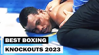 Best Boxing Knockouts of 2023 [upl. by Farro]