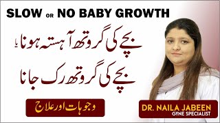 Bachy Ki Growth Na Hona  No Baby Growth  Causes of Baby Growth Stop During Pregnancy Urdu [upl. by Edric]