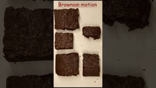 Brownian motion  explained brownie stopmotion shorts [upl. by Westhead]