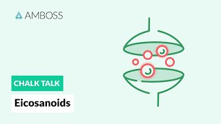 Eicosanoids Formation Function and Subclasses [upl. by Alvord]