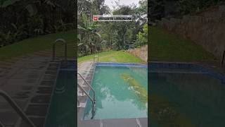 Pool Resort at Vagamon  Cheapest  8301022110 shorts snowdoniaecostay [upl. by Bess786]