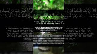 Surah Al Baqarah Verses 3031  Ahmed Khedr  Beautiful Recitation Quran ❤️ [upl. by Carling697]