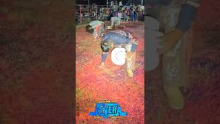 Gran JARIPEO banda xochihuehuetlan fypシ゚ parati shortsvideo [upl. by Sancho247]