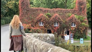 Enchanted Autumn part 2 autumn foliage misty mountains and cosy cottage hedgerow wreath making [upl. by Rochelle]