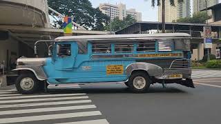 The Jeepneys in the Philippines 🇵🇭 Walking Tour at Ayala Avenue travel [upl. by Ttekcirc]