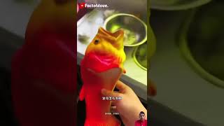 Fish 🐠 Slipper 🥿  New Viral Gadgets Smart Appliances Kitchen Utensils Home Inventions shorts [upl. by Iggam]