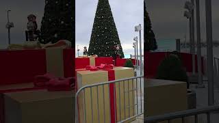 2024 Christmas Tree at the National Harbor is up [upl. by Einre342]