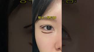 눈크기 3배 방구석 노하우 makeup 메이크업 애교살메이크업 트임메이크업 [upl. by Akkahs]