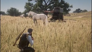 GET 2 Free Fastest Horse in Rdr2 From One location  RDR2 [upl. by Nai287]