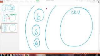 Osmosis and Diffusion for Diabetes [upl. by Lebar]