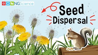 Seed Dispersal [upl. by Love954]