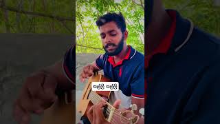 සල්ලි සල්ලි 🎸 Salli Salli  Sarith amp Surith guitarcover covermusic music coversong rk [upl. by Kamila]