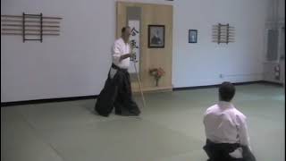 Kevin Choate Midwest Aikido Bridge Seminar 2012 [upl. by Markiv]