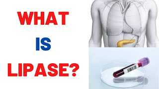 What is Lipase blood test Normal Levels [upl. by Rider848]