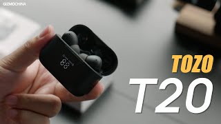 TOZO T20 ENC Wireless Earbuds Review Great Value For Budget Money [upl. by Oneladgam]