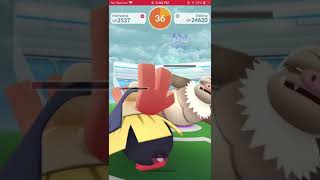 Pokémon Go  Slaking Raid Solo In Cloudy Using All Unique Fighting Types Against Boosted Play Rough [upl. by Herzberg]