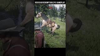 rdr2 horse dance funnymoment rdrii [upl. by Giulietta]