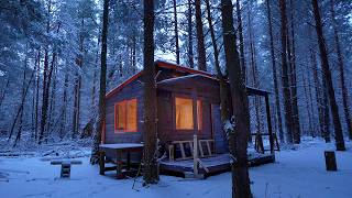 6 months building cabin in the woods off grid house start to finish [upl. by Napra929]