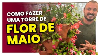 Tudo sobre a flor de maio  Aprenda cultivar e fazer uma torre [upl. by Hessney]