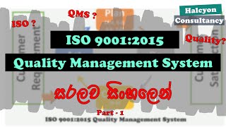 ISO 90012015  Quality Management System  Halcyon Consultancy  QMS  Part  1 [upl. by Andreana]