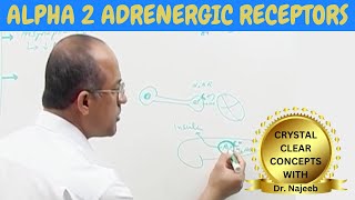 Adrenergic receptors  Alpha 2  Pharmacology🩺 [upl. by Nnaoj164]