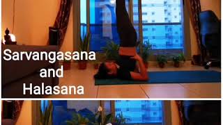 Sarvangasana Shoulder stand and Halasana Plough pose with their counterpose [upl. by Reyaht]