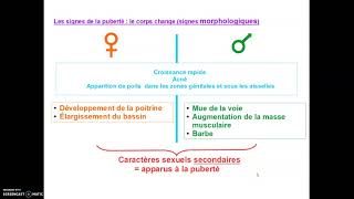 Les signes de la puberté [upl. by Lehmann]