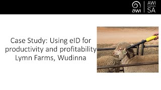 Case Study Using eID for productivity and profitability at Lymn Farms Wudinna with Chris Lymn [upl. by Aun]