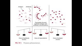 ANTIGENANTIBODY REACTION [upl. by Coraline]