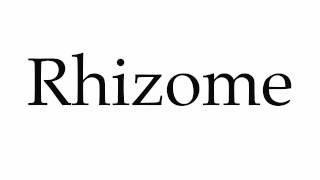 How to Pronounce Rhizome [upl. by O'Driscoll]