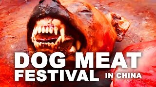 Yulin Dog Meat Festival 2017 [upl. by Ajam]