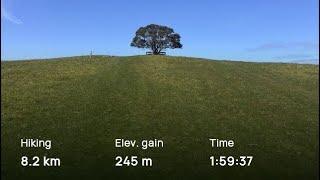 Hike at Shakespeare Heritage and Tiritiri Tracks Loop  Auckland New Zealand [upl. by Lewin270]