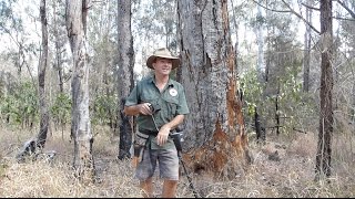 WW2 Metal Detecting Pips and Spoons Garrett AT Gold [upl. by Aiz]