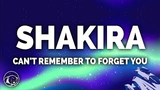 Shakira  Cant Remember To Forget You Lyrics ft Rihanna [upl. by Elijah]