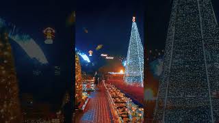 Ashikaga flower park christmas japantravelvlog travel [upl. by Barbour953]