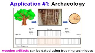 Applications of Dendrochronology [upl. by Watson]