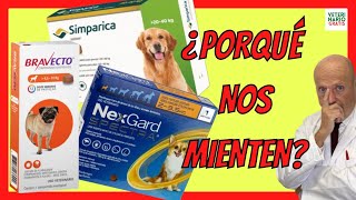 🚨 DUDAS CON LA PASTILLA PARA PERROS ANTIPULGAS Y GARRAPATAS 🚨NEXGARD SPECTRA BRAVECTO Y SIMPÁRICA [upl. by Lleirbag]