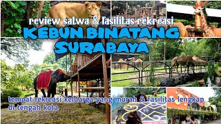 Kebun Binatang Surabaya terbaru  review hewan dan fasilitas rekreasi di Surabaya zoo [upl. by Meelak]