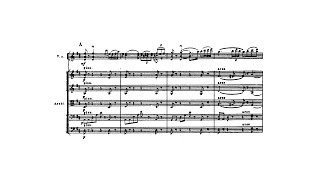 Tchaikovsky Violin Concerto in D major Op 35 with Score [upl. by Kenlee]