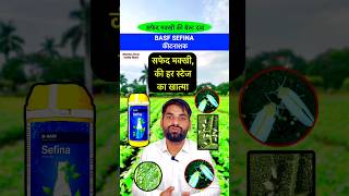 सफेद मक्खी के लिए  BASF Sefina  Whitefly best insecticide  insecticide whiteflies shorts [upl. by Vivianne]