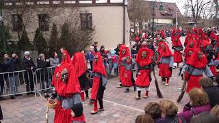 Fasnet Schwenningen 2019 Neckartäle Waldhexen Dauchingen [upl. by Rickie]