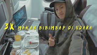 Kelas Ekonomi Rasa Bisnis  Korean Air 2 [upl. by Ennaeirrac]