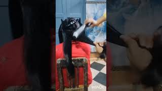 Blow dryer setting youtube shots viral [upl. by Enitram]